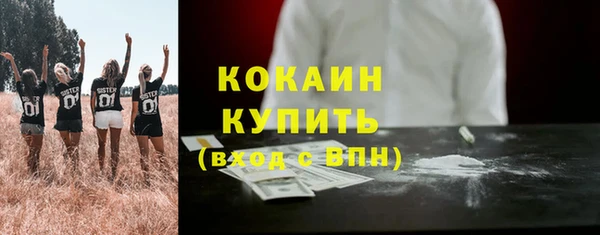 стаф Вяземский