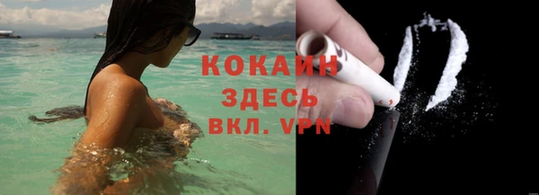 стаф Вяземский