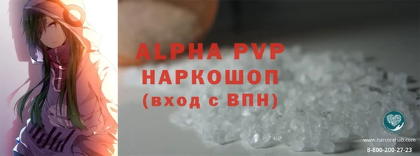стаф Вяземский