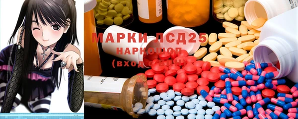 гидропоника Горнозаводск